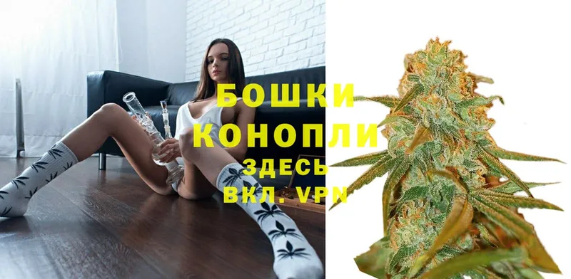 Шишки марихуана SATIVA & INDICA  мега tor  Бабушкин 